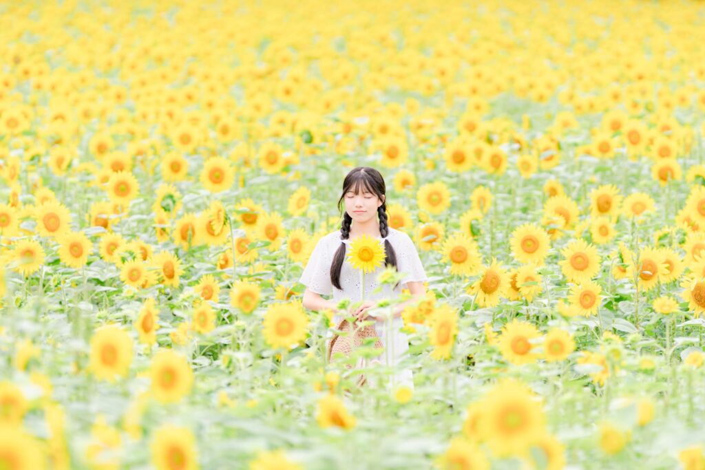 札幌写真個別レッスン｜写真教室　初心者から学べる　オンライン