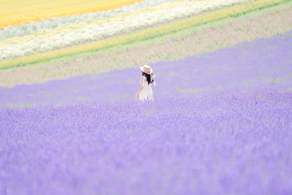個別カメラレッスン　札幌写真教室　対面・オンライン