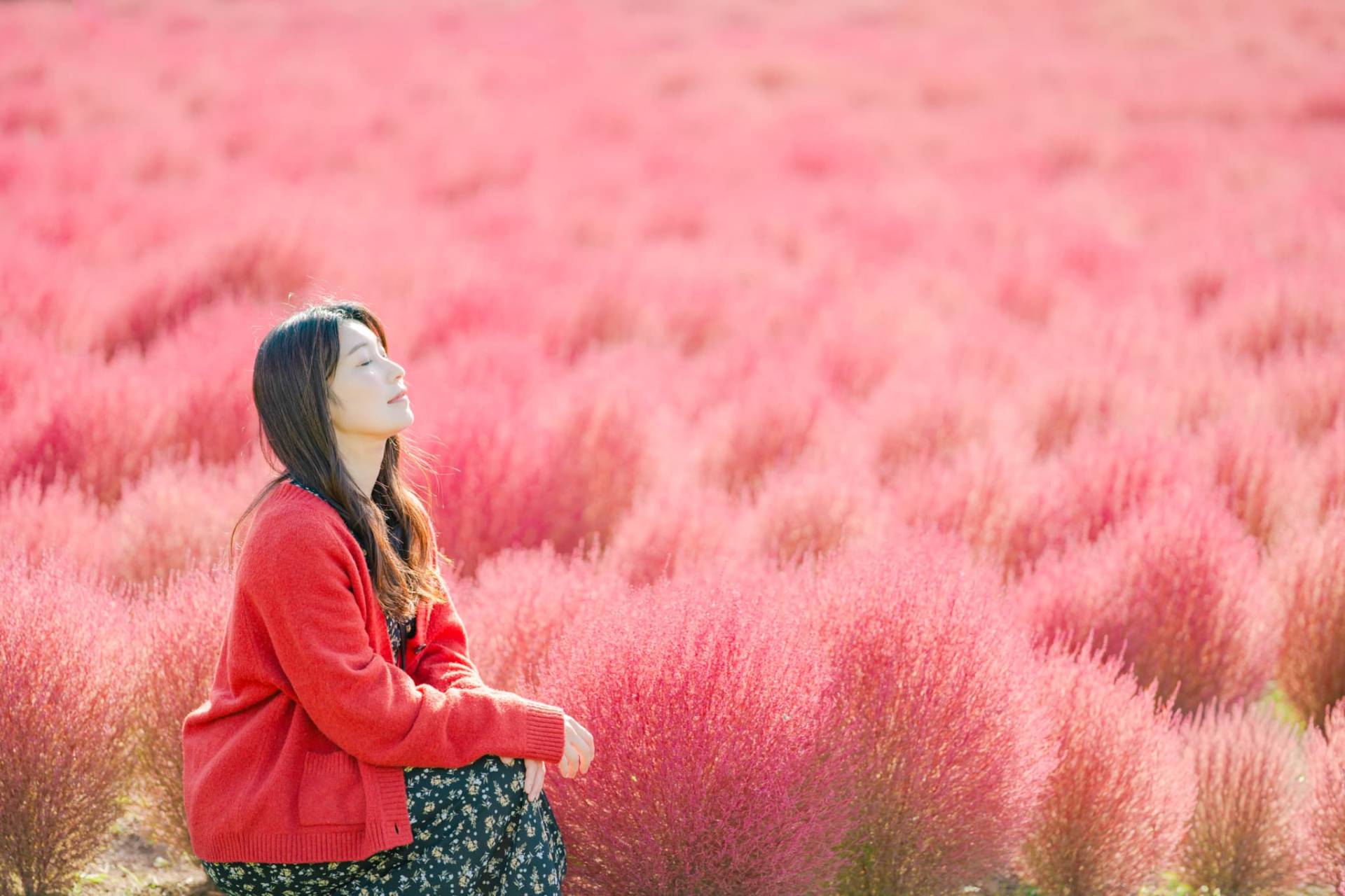 プロフィール写真撮影｜札幌nicopic